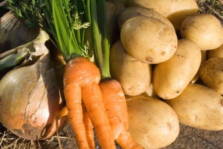 Plan Your Garden Image
